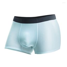 Underpants Sexy Underwear Men's Boxers Summer Transparent Ice Silk Male Solid Seamless Panties Man Clothing Gay Penis Plus Size