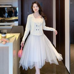Casual Dresses Autumn Female Suit Net Yarn Knitted Skirt Paired Temperament Socialite The 2023 Dress