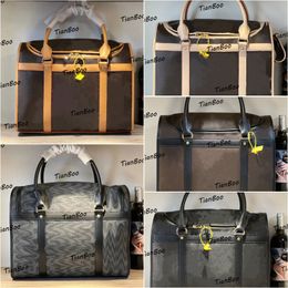 Brand Pet Carrier Puppy Bag Cat Valise Pu Leather Leather Careing Handsing Handbag للسفر في الهواء الطلق Walking Hikin