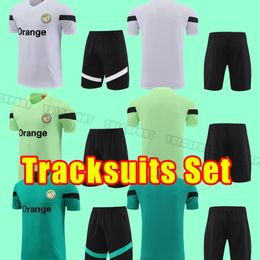 2023 2024 BrazilS soccer tracksuits MARCELO PELE PAQUETA NERES COUTINHO FIRMINO JESUS VINI JR 23 24 BrasilS football shirt Short sleeve tracksuit men adult