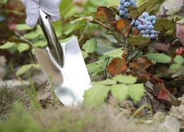 Плантаторы горшки мини -портативная цветочная лопата из нержавеющей стали садовая почва замачивание