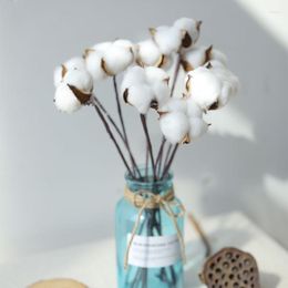 Decorative Flowers 1 Heads Dried Cotton Stems Natural Artificial Flower Wedding Home Party Living Room Long Branch