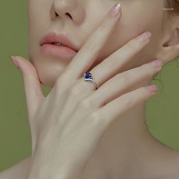 Cluster Rings Temperament Fashion Drop-shaped Simulation Sapphire Open Ring Female Group Set Zircon Colourful Treasure Live Man