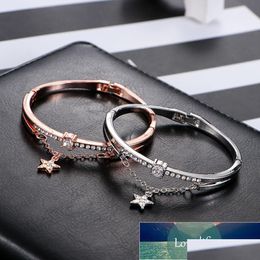 Other Bracelets Luxury Rose Gold Stainless Steel Bangles Female Heart Love Brand Charm Bracelet Woman Jewelry Gifts Bangle F Dhgarden Dhqwy
