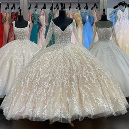 Long Sleeve Sweet 16 Quinceanera Dresses 2023 V-Neck Appliques Flowers Princess Party prom Vestidos De 15 ANos