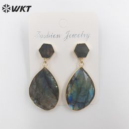 Earrings WTE675 WKT 2022 Beautiful and Retro labradorite Droplet shape Earrings trend Jewellery INS Earrings wedding party women gift hot