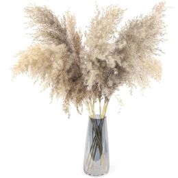 Decorative Flowers 20Pcs Pampas Grass Large 23Inch Tall Natural Dry Artificial Pampa Decor Fluffy Reed Bouquet Wedding Boho Home Flower