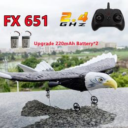 RC Plane Wingspan Eagle Bionic Aircraft Fighter Radio Control Remote Control Hobby Glider Airplane Foam Boys Toys for Children