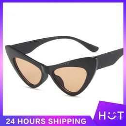 Sunglasses Beach Fashion Personality Comfortable Nose Support Sunshade Eyeglasses Clothing Accessories Eyewear