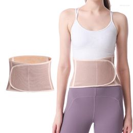 Back Support Waist With Training Trimmer Fitness Belt Sports Shaper Corset