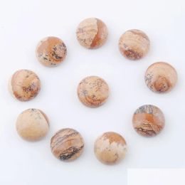 Loose Gemstones Natural Gem Stone Owyhee Picture 12Mm Round Flat Back Cabochon Cab No Drill Hole Beads Making Findings U3250 Drop De Dhdqt