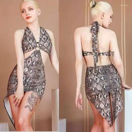 Stage Wear Summer Leopard Print Latin Dress Salsa Samba Bachata Bodysuit Back Cut Out 740