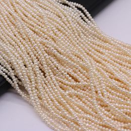 Crystal Natural Freshwater 100%Pearl Beads Oblate Loose Pearls For DIY Craft Charm Bracelet Necklace Jewelry Earring Accessories Making