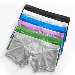 Underpants Men Boxer Shorts Ultra-thin Mesh Breathable Underwear Calzoncillos Boxershort Calecon Homme Gay Panties Cueca Slip Hombre Trunks