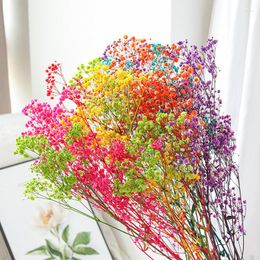 Decorative Flowers Flower Planting Factory Direct Sales 80g/lot Colorful Gypsophila Real Dried For Store Development Home Decoration