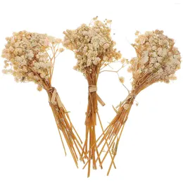 Decorative Flowers Dried Flower Breath Babys Branches Babysbreath Gypsophila Artificial Bouquet Stems Bouquets Vase Natural Arrangements