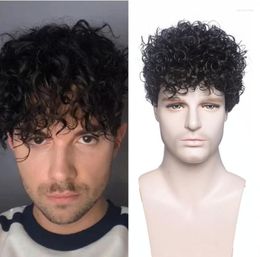 Synthetic Wigs Wig Fashion Men's European And American Handsome Hair Fluffy Realistic Short Curly Hairs Fibre