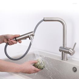 Kitchen Faucets Faucet Brushed Steel Flexible Cold Water Tap Mixer RVS-304 Keukenkraan Modern Extender Pull Down