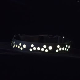 Dog Collars Rechargeable Nylon Pet LED 8 Color Lights 15 Modes Flashing Light Up Collar Safe Luminous