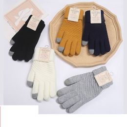 S3696 Women's Winter Thick Gloves Mittens Cold Proof Riding Touch Screensaver Warm Wool Knitted Gloves