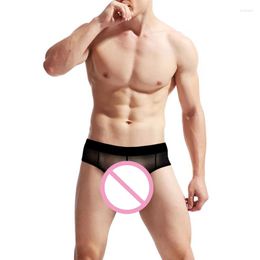 Underpants Sexy Men's Simple Underwear Panties Mesh Gauze Back Open Rubber Rib Triangle Shorts Perspective Suit Passion Temptation