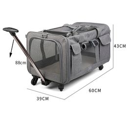 Fashion Travel Suitcase Luggage Luxurys Men Women Unisex Trunk Bag Spinner Duffel Bags 55cm Pet Trolley Case Detachable Universal Wheel Breathable