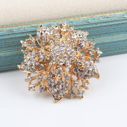 Brooches Rhinestone Alloy Brooch Fashion Flower Corsage Women's Coat Suit Accessories Pin