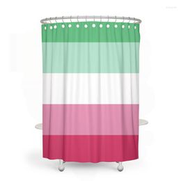 Shower Curtains Aertemisi Abrosexual Pride Flag Curtain Set With Grommets And Hooks For Bathroom Decor