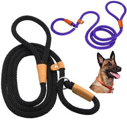 Dog Collars 6Feet Leash NO And Safety Belts 2 In 1 Adjustable Slip Loop Collar Comfortable Meidum Large Pet Leashes