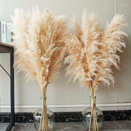 Decorative Flowers 80-120cm Pampas Grass Large Tall Fluffy Dried Boho Decor Plant For Vase Home Wedding Flower Arrangement