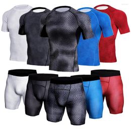 Gym Clothing Men's Workout Clothes Set Fast Drying Running High Elasticity Training Moisture Wicking Tights