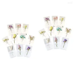 Greeting Cards 20 Pcs Creative Dried Flowers For Thanksgiving Birthday Valentine's Day Christmas Holiday