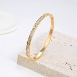 Bangle 2023 Luxury CZ Crystal 4mm Cuff Bangles For Women Rose Gold Shell Titanium Stainless Steel Bracelets Jewellery