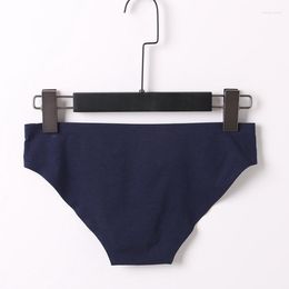 Underpants 3pcs /Lot Shorts Comfortable Men Underwear Cotton Sexy Briefs Male Penis Pouch Mens