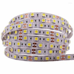 Strips SMD 2835 Led Strip Tape Light 12V 60leds/M Waterproof IP65 IP21 Warm White/RGB/RED /BLUE /GREEN Flexible Rope Stripe