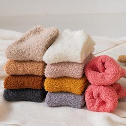 Women Socks Japanese Autumn And Winter Fleece Coral Ladies Solid Color Thickened Warm Mid-tube Floor