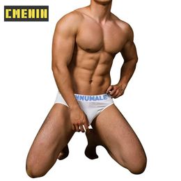 Underpants 2023 Comfortable Sexy Mens Underwear Briefs Striped Panties Cotton Men's Bikini Gay Gift AD7101