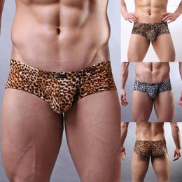 Underpants Express Underwear For Men Cotton Briefs Pack Sexy Flat-Angle Men's Mens Large