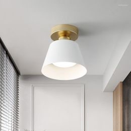 Ceiling Lights Light For Aisle Corridor Home Decor Illumination Modern Simple Cloakroom Entrance Porch LED