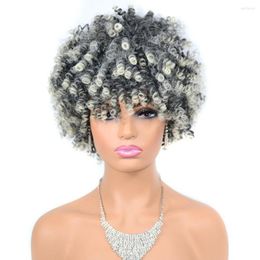 Synthetic Wigs African Hair Wig Short Small Screw Curly Fluffy Explosive Head