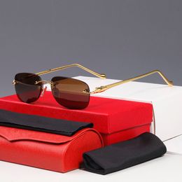 Luxury Designer rectangle sunglasses Vintage Personality Panther Creativity Party Framed Ultralight Glasses Men Women Frameless Fashion Eyewear Accessories