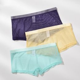 Underpants Sexy Boxer Shorts Men Transparent Boxers Underwear Mesh Ultra-thin Men's Panties Low Waist Hombre Cueca