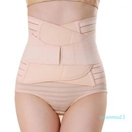 Waist Support Adjustable Slim Belt Breathable Lumbar Back Braces Treatment Of Disc Herniation Muscle Strain