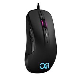 Mice Professional Gamer Mouse Opto Electronic Ergonomic Silicone Feet USB Wired Lighting Gaming Mouse for Home Office Laptop Computer