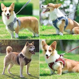 Dog Collars Rope Leash Breathable For Dogs Reflective Accessories Sweat Absorption Harness Pet Chest Strap Traction Mesh Cloth Supplies