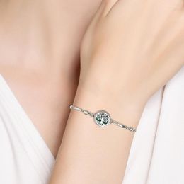 Bracelets de charme 12mm Bracelet Difusor Locket 316L Aço inoxidável com jóias de moda de corrente ajustável