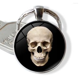 Keychains Skeleton Skull Keychain Accessories Pattern Design Round Glass Pendant Metal Keyring Key Holder For Keys Men Gift