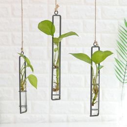 Vases Nordic Hydroponic Green Plant Container Rope Iron Pendant Flowerpot Home Ornament Transparent Flower Bottle Vase