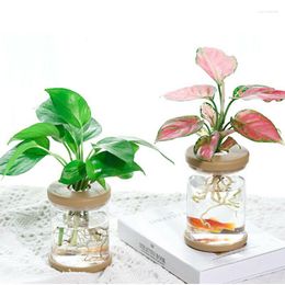 Vases 2 Pc Terrarium Hydroponic Plant Vase Flower Pot Glass Bottle Wooden Cork Transparent Tabletop Planter Home Decoration