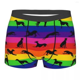 Underpants Cool Greyt Greyhound Rainbow Boxers Shorts Men's Breathbale Whippet Sighthound Dog Briefs Underwear